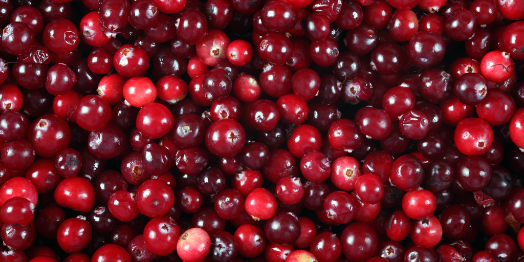 Mushroom Extract Complex